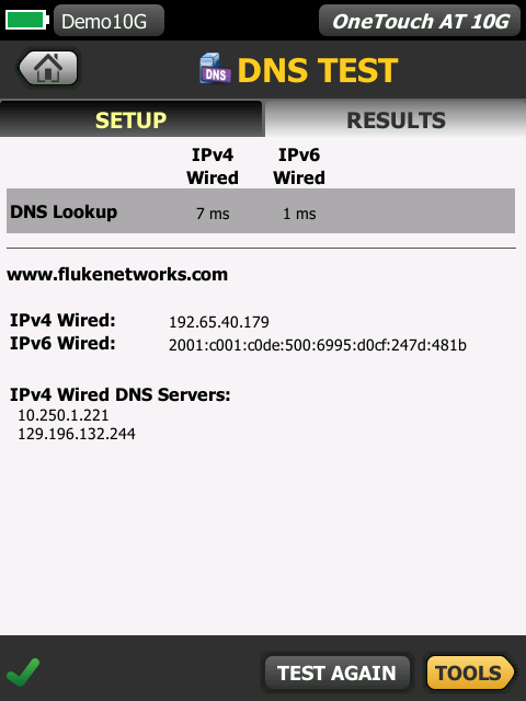 福祿克FLUKE DHCP   1T10G-1000  DNS測試界面